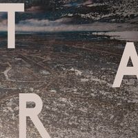 Siavash Amini - TAR