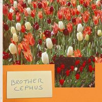 Brother Cephus - Brother Cephus