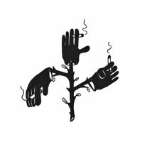 BIG SPECIAL - TREES