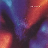 The Hafler Trio - Masturbatorium