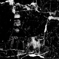Skin Graft - Final Judgement