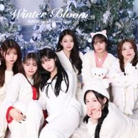CLASS:y - Winter Bloom