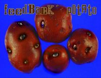 Monopolka - As The Feedback Potato