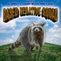 CHRIST DILLINGER - BASED NEGATIVE SQUAD