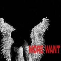 Banks Arcade - More Want