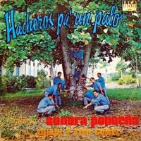 Sonora Ponce&ntilde;a - Hacheros pa' un palo
