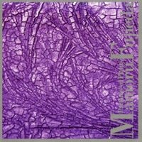 藤枝守 [Mamoru Fujieda] - Patterns of Plants