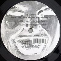 DJ Sprinkles - Sisters, I Don't Know What This World Is Coming To