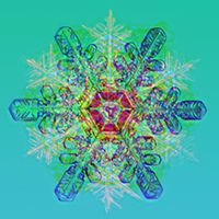 Brian Whitman - A Singular Christmas