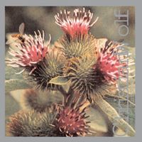 Christian Wolff - Burdocks