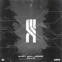 i broke my robot - What You Heard / Killa