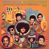 The Nite-Liters - Different Strokes