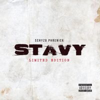 Schyzo - Stavy