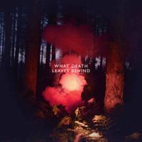 Los Campesinos! - What Death Leaves Behind