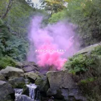 Los Campesinos! - Avocado, Baby