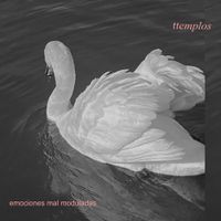 Ttemplos - Emociones mal Moduladas