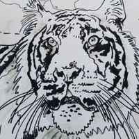 Frank the IV - Sapphire Tiger '98