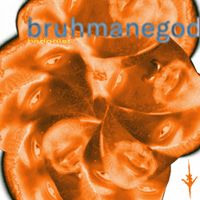 BRUHMANEGOD - hedonist