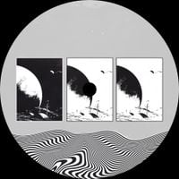 Subjoi - Loosies