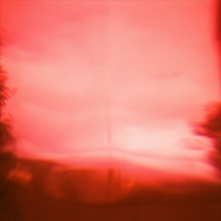 EDEN - 365x28