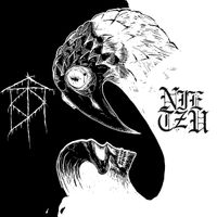 Bury Them And Keep Quiet - Bury Them and Keep Quiet & Nietzu Split