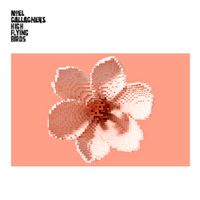 Noel Gallagher's High Flying Birds - Love Will Tear Us Apart (demo)