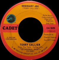 Terry Callier - Ordinary Joe