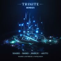 Paper Skies - Trinite (Remixes)