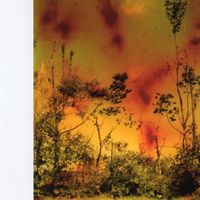Various Artists - Music For Plants