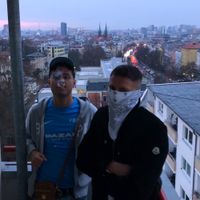 Pashanim - 6561