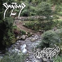 Swaz&ouml;nd - Swaz&ouml;nd & Wolftread Split