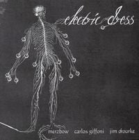 Merzbow, Carlos Giffoni And Jim O'Rourke - Electric Dress