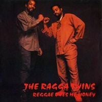 The Ragga Twins - Reggae Owes Me Money