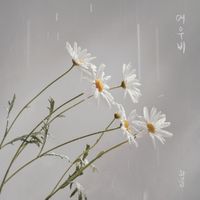 WABLE - Sun Shower