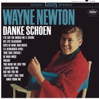Wayne Newton - Danke Schoen