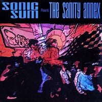 Sonic Sum - The Sanity Annex