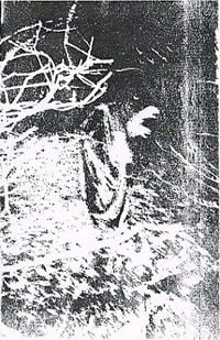 Staar - Schimmenklanken