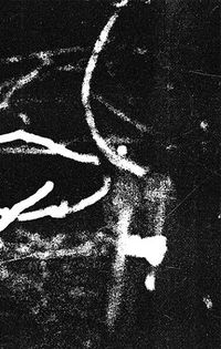 Staar - Vorstfantomen