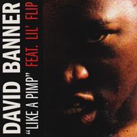 David Banner - Like A Pimp