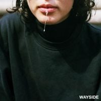 Wayside - Wayside