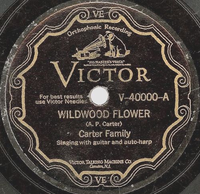 The Carter Family - Wildwood Flower / Forsaken Love