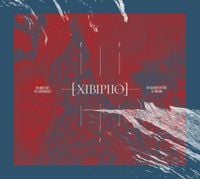 Raison D'&ecirc;tre & Troum - XIBIPIIO - In and Out of Experience