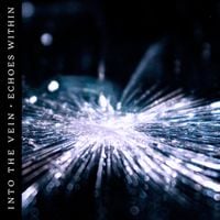 Into The Vein - Echoes Within