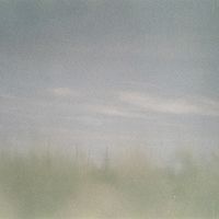 inu - hazy
