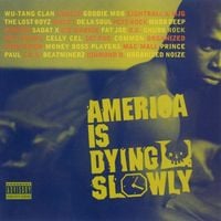 Various Artists - America Is Dying Slowly
