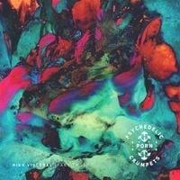 Psychedelic Porn Crumpets - High Visceral {Part 2}