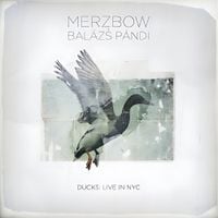 Bal&aacute;zs P&aacute;ndi & Merzbow - Ducks: Live in NYC