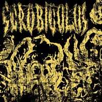 Scrobiculus - Concentrated Effect of Pharmacy