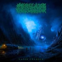 Perilaxe Occlusion - Vapor Chamber
