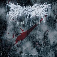 Sanity Slip - Winter Promo